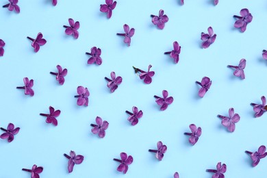 Beautiful lilac flowers on light blue background, flat lay