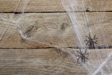 Cobweb and spiders on wooden surface, top view