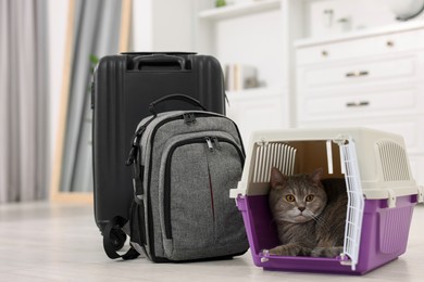 Photo of Travel with pet. Cute cat in carrier, backpack and suitcase at home