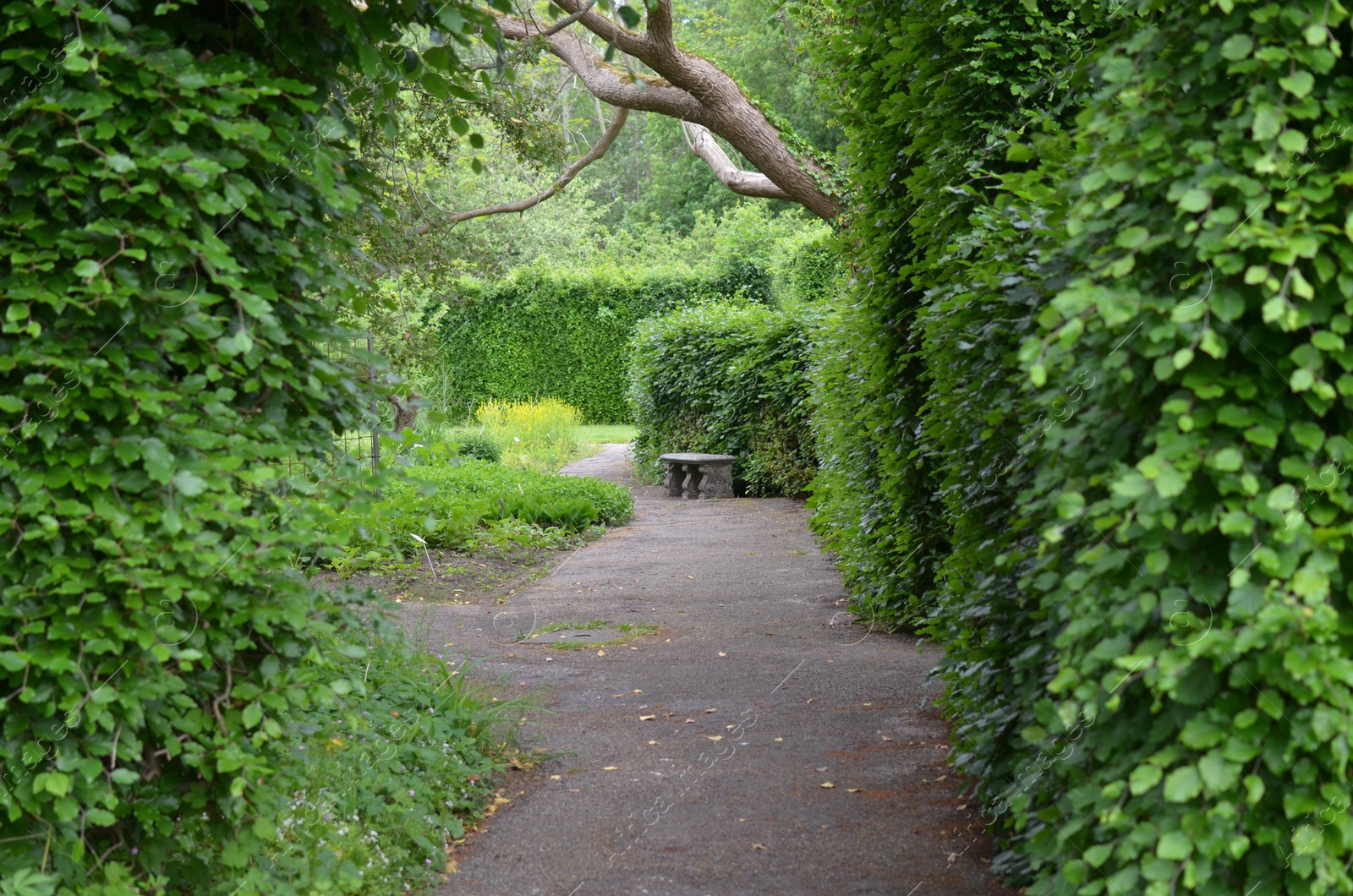 Photo of Beautiful view of park with different plants and asphalt path