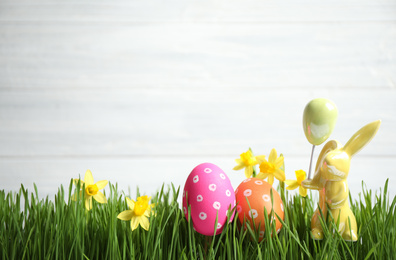 Photo of Colorful Easter eggs, rabbit and narcissus flowers in green grass against white background. Space for text