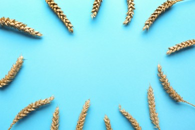 Frame of wheat on light blue background, flat lay. Space for text