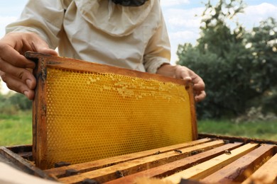 Beekeeper in uniform with honey frame at apiary, closeup