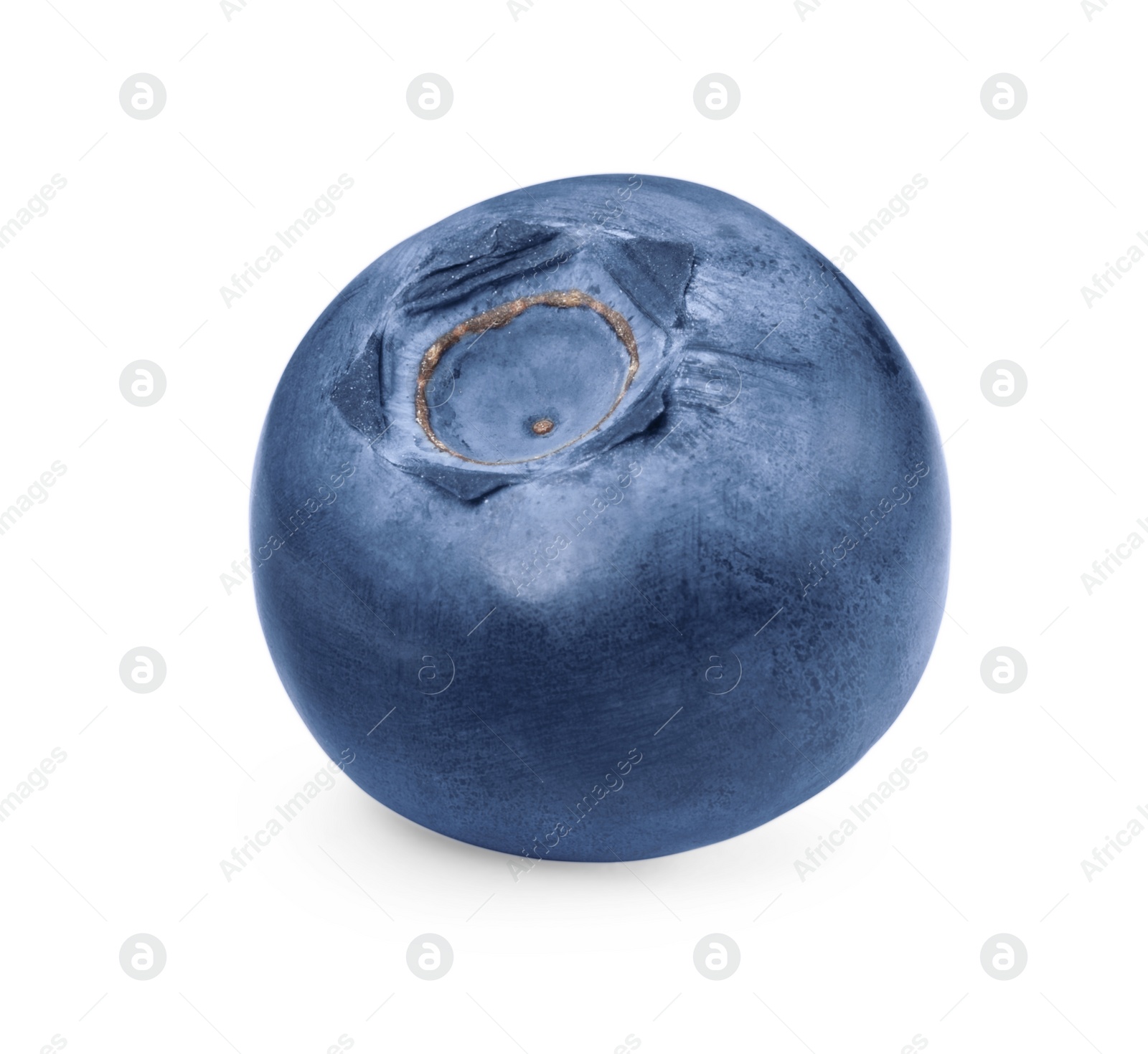 Photo of One ripe tasty blueberry isolated on white