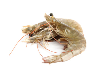 Photo of Fresh raw shrimps isolated on white. Healthy seafood