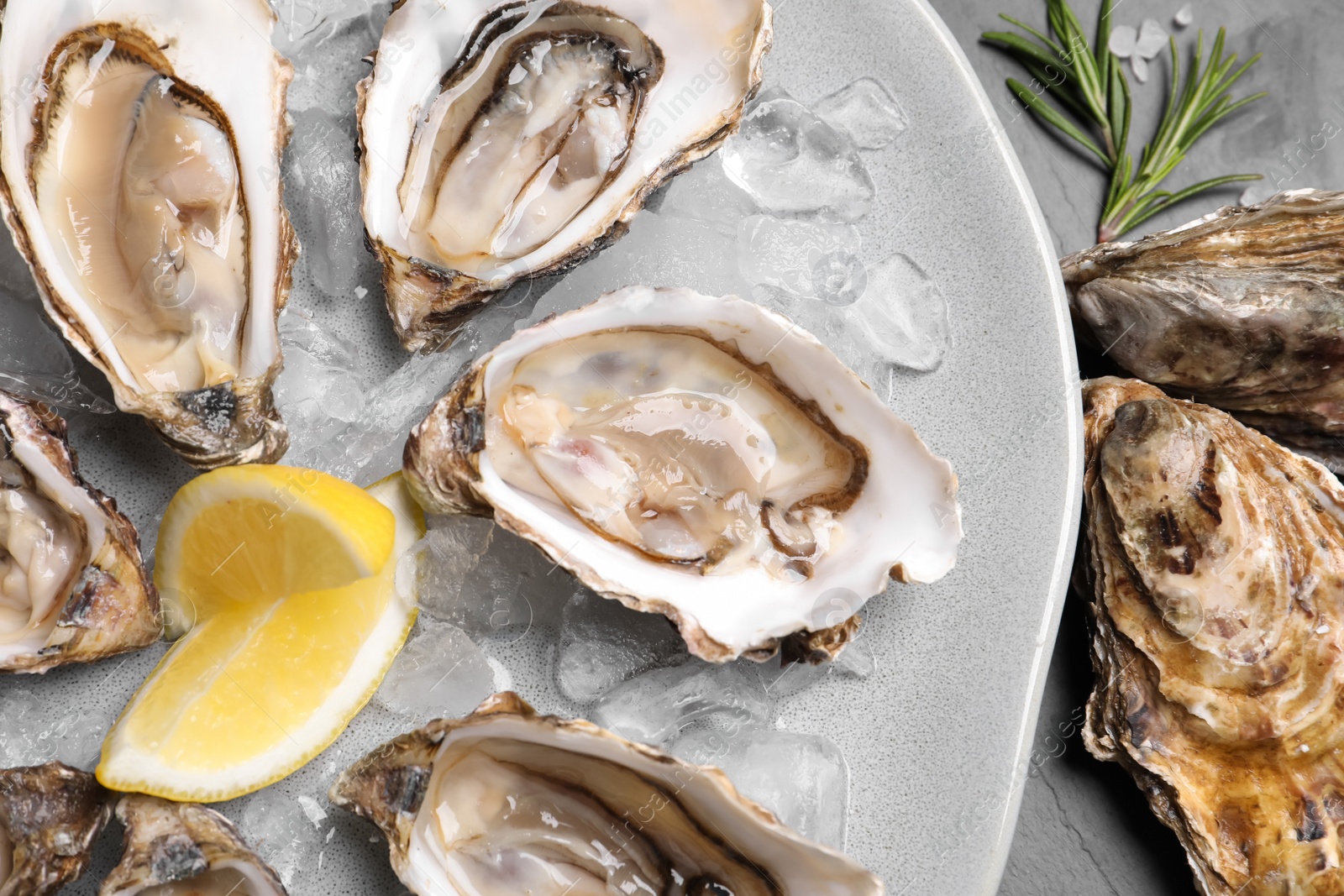 Photo of Delicious fresh oysters with lemon slices served on table, closeup