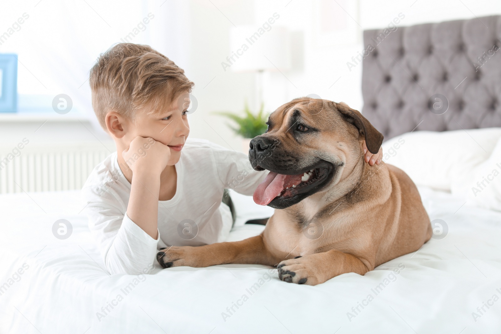 Photo of Cute little child with his dog resting on bed at home