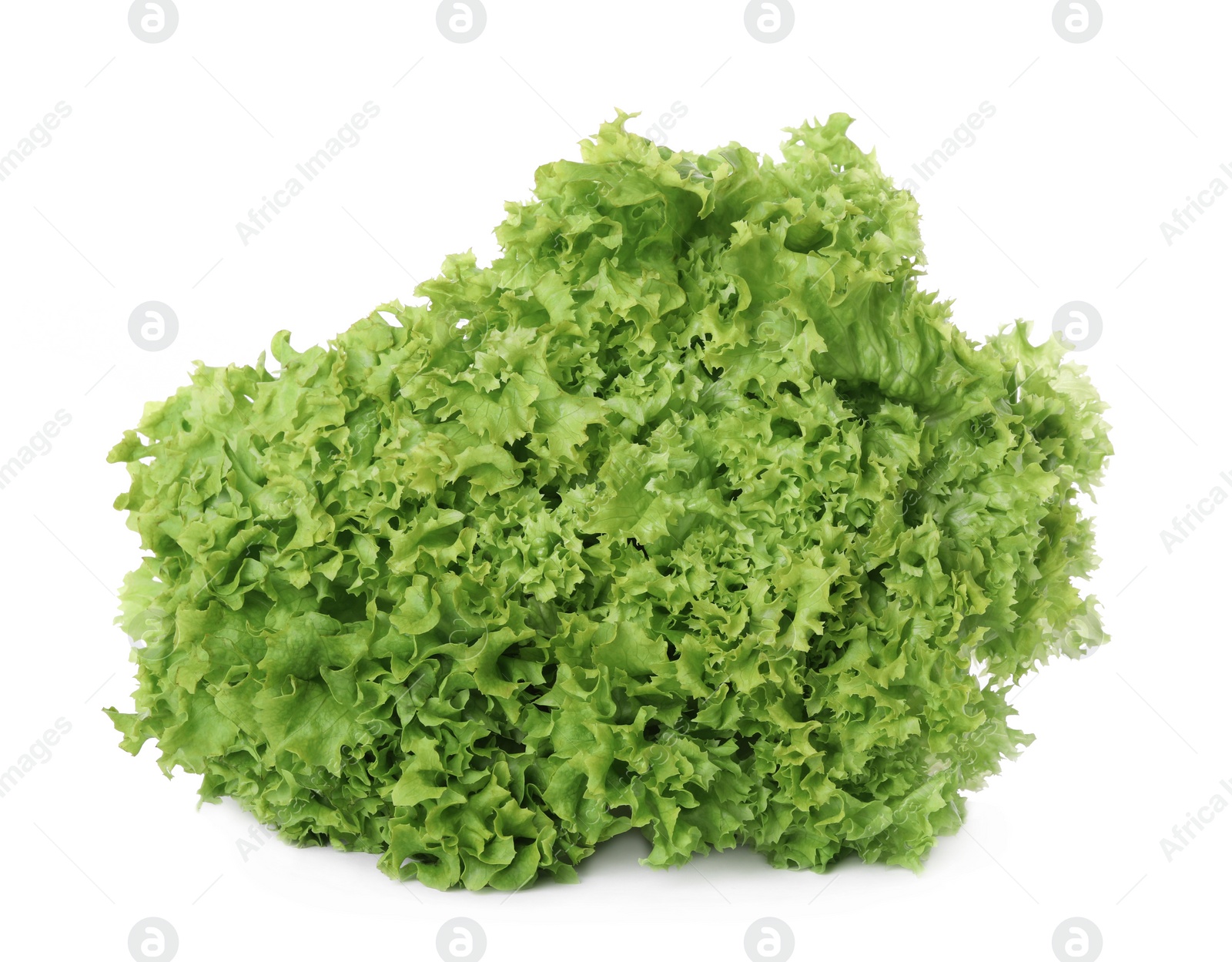 Photo of Fresh lettuce isolated on white. Salad greens