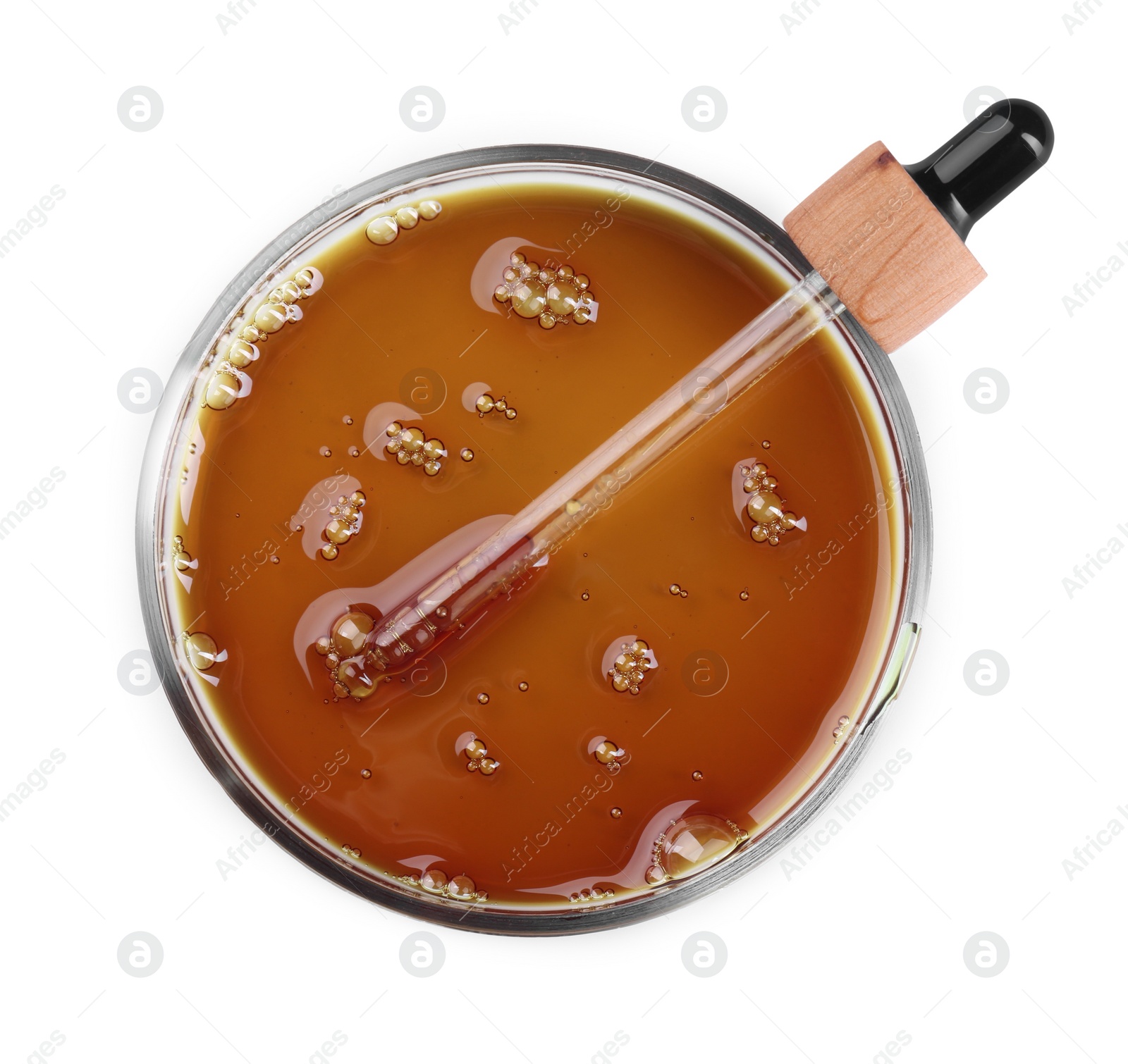 Photo of Petri dish with color liquid sample and pipette isolated on white, top view