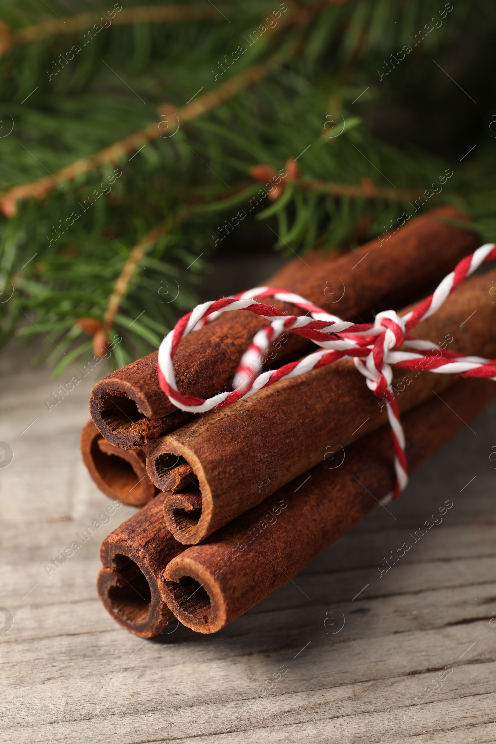 Photo of Cinnamon sticks and fir branches on wooden table, closeup