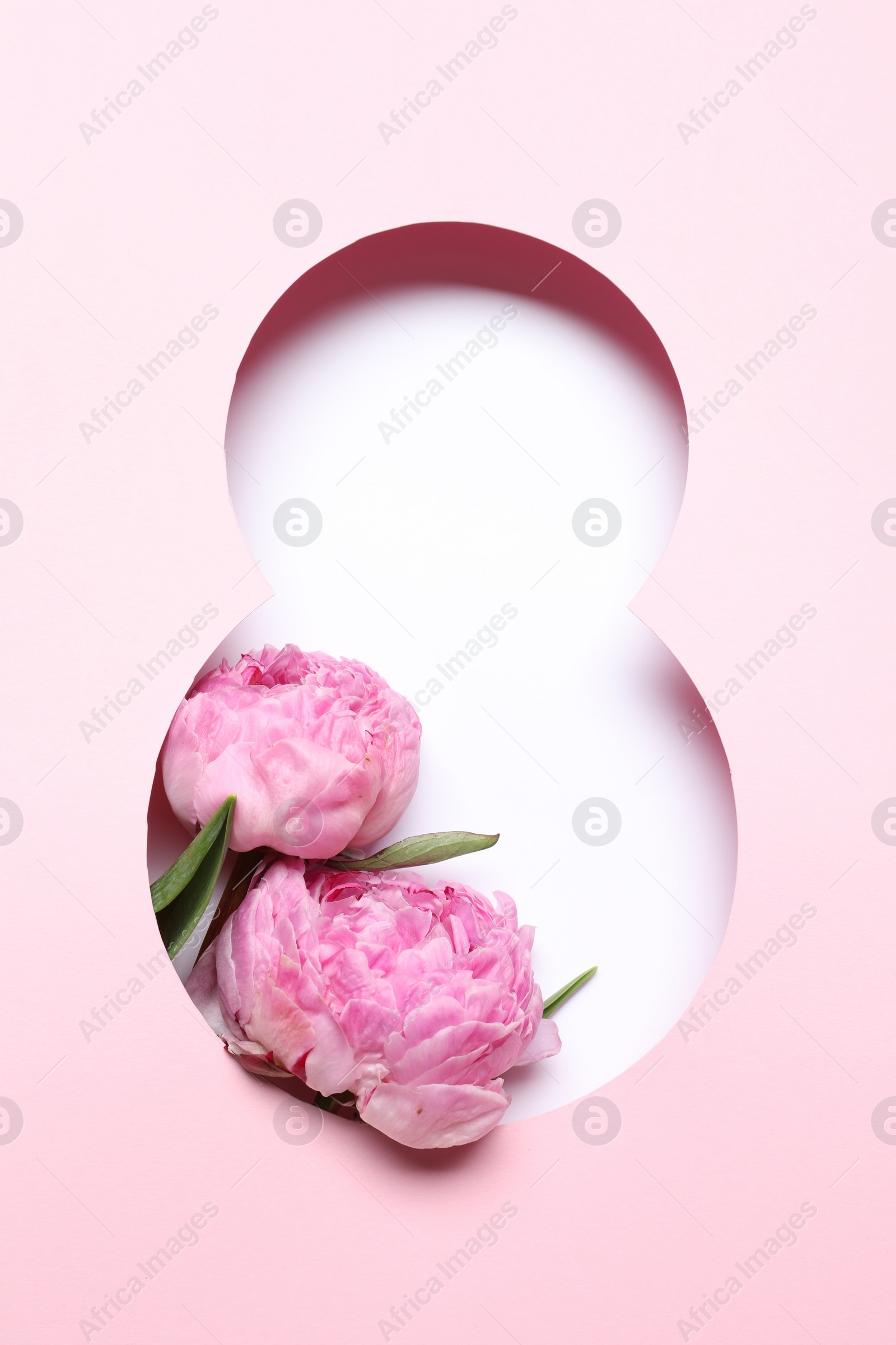 Photo of 8 March greeting card design with pink peony flowers, top view. Happy International Women's Day