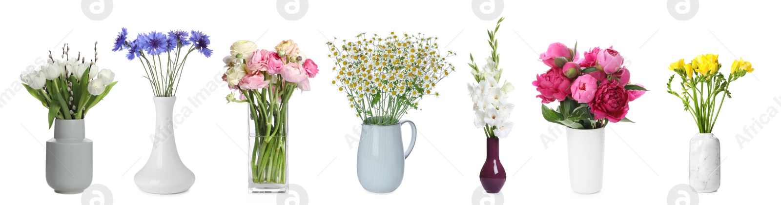 Image of Collage with many beautiful flowers in different vases on white background