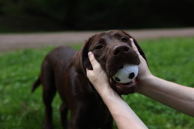 Photo of Man playing with adorable Labrador Retriever dog in park, closeup