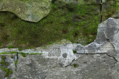 Photo of Stone wall with green moss as background, closeup