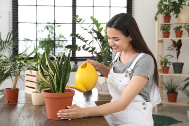 Photo of Young woman watering beautiful plant at home