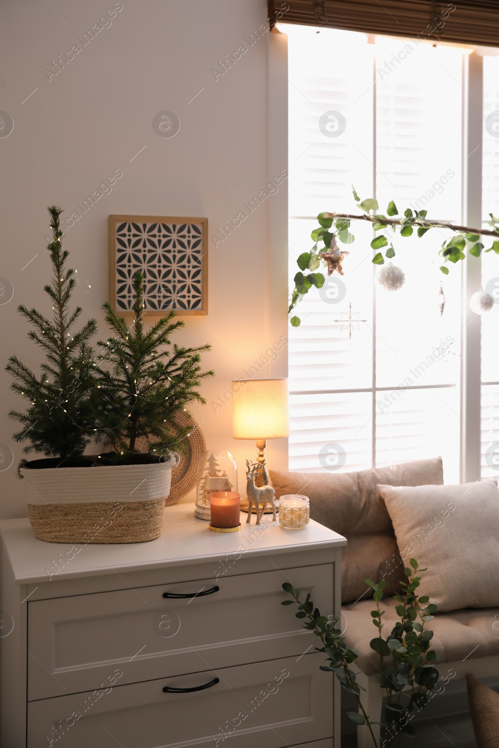 Photo of Beautiful room interior decorated for Christmas with potted firs