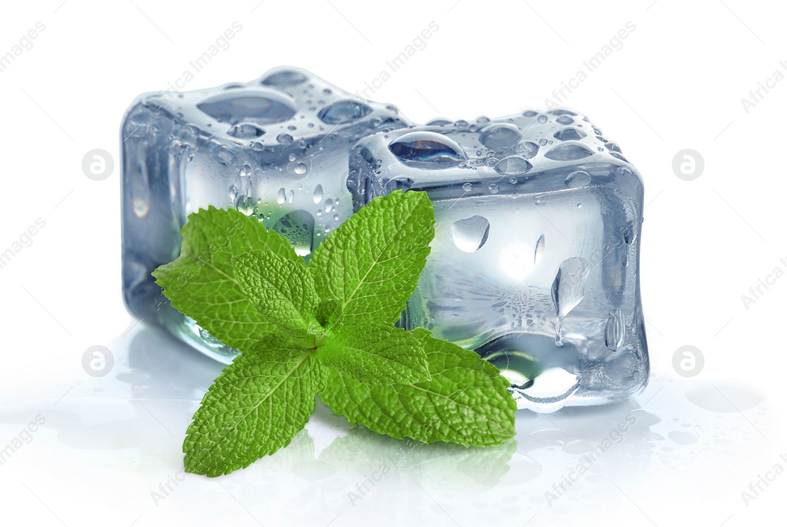 Image of Green mint and ice cubes isolated on white