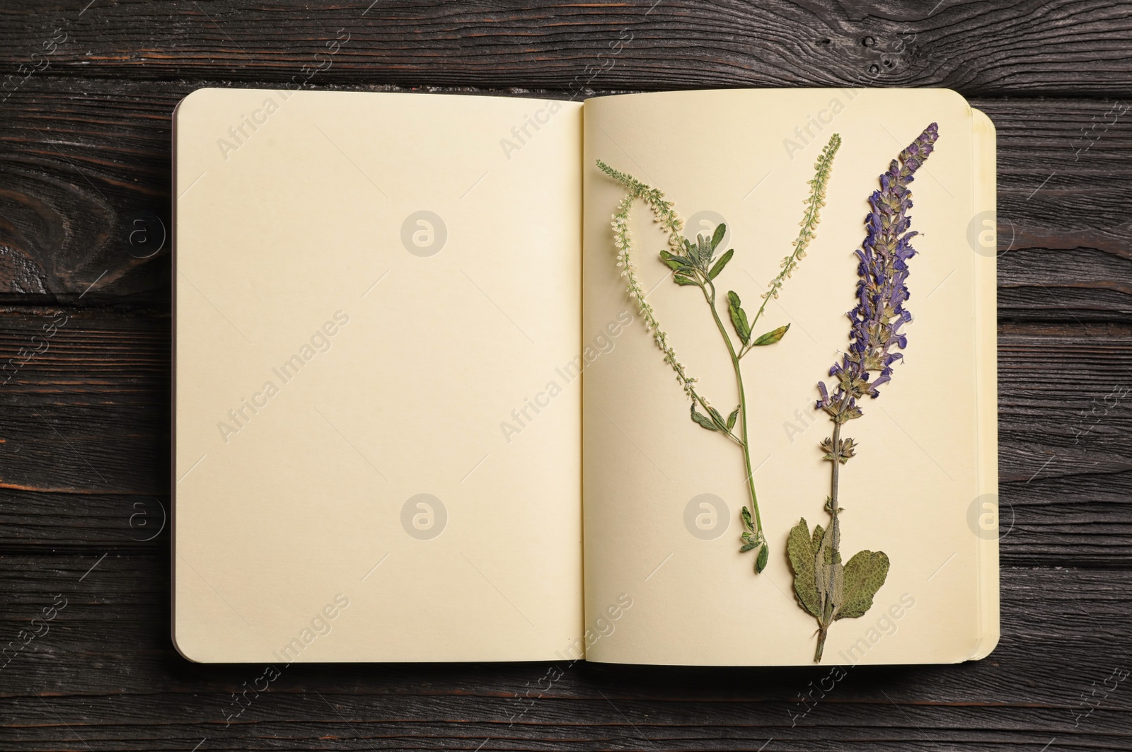 Photo of Wild dried meadow flowers in notebook on wooden background, top view