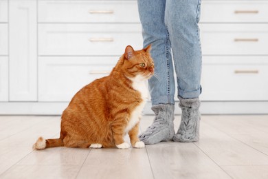 Woman with cute cat at home, closeup