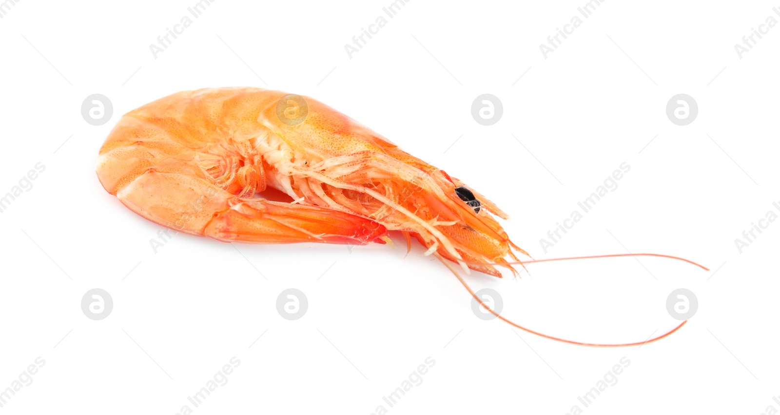 Photo of Delicious cooked whole shrimp isolated on white