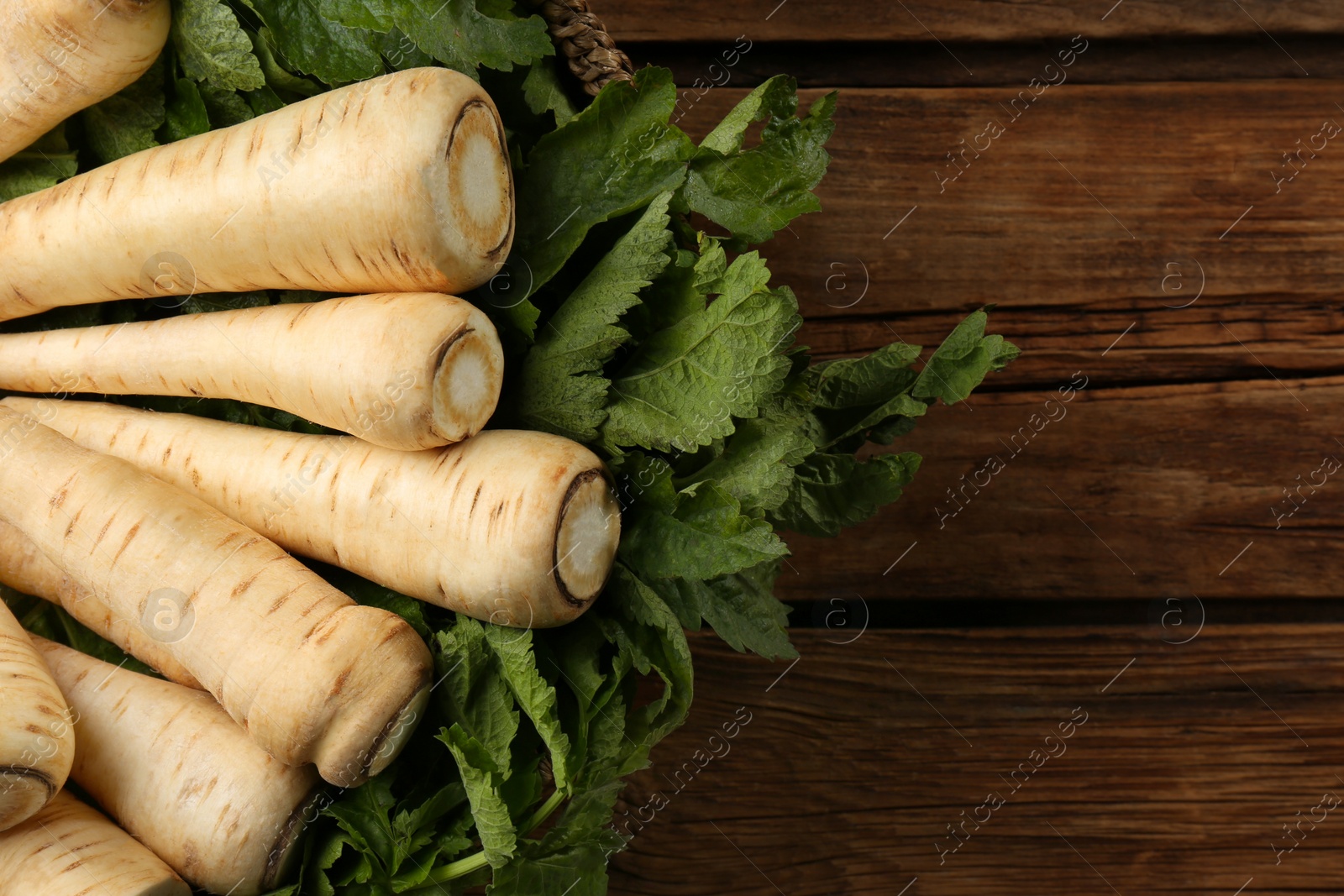 Photo of Fresh ripe parsnips on wooden table, top view. Space for text