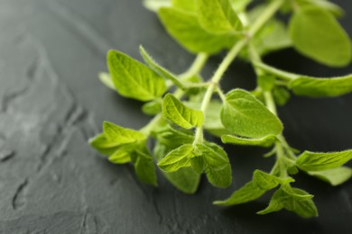 Photo of Sprigs of fresh green oregano on dark gray textured table, closeup