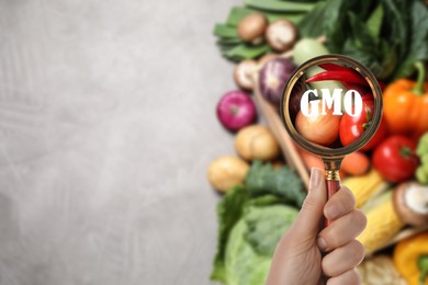 Image of Woman holding magnifying glass and fresh vegetables on grey table, top view with space for text. GMO concept