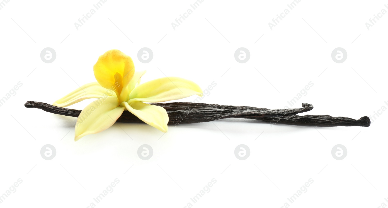 Photo of Aromatic vanilla sticks and flower on white background