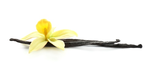 Photo of Aromatic vanilla sticks and flower on white background