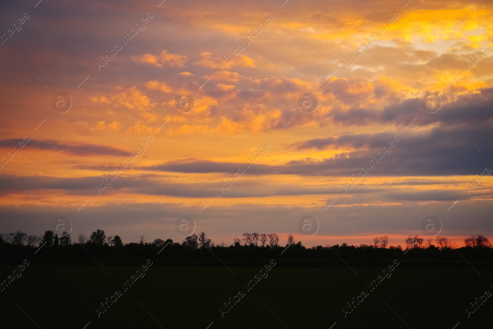 Picturesque view of beautiful countryside at sunset Photo of Picturesque view of beautiful countryside at sunset