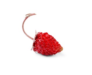 Photo of One ripe wild strawberry isolated on white