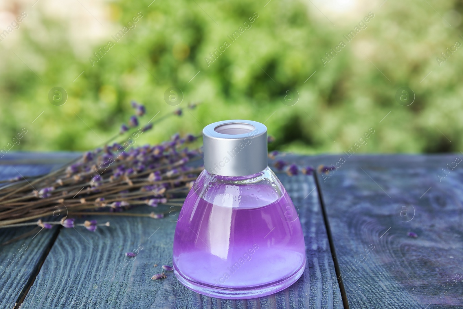 Photo of Natural herbal oil and lavender flowers on table against blurred background