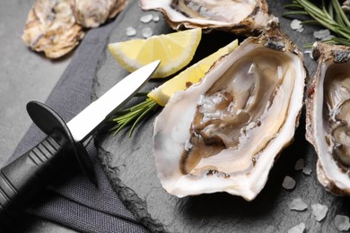 Photo of Delicious fresh oysters with lemon slices served on grey table, closeup