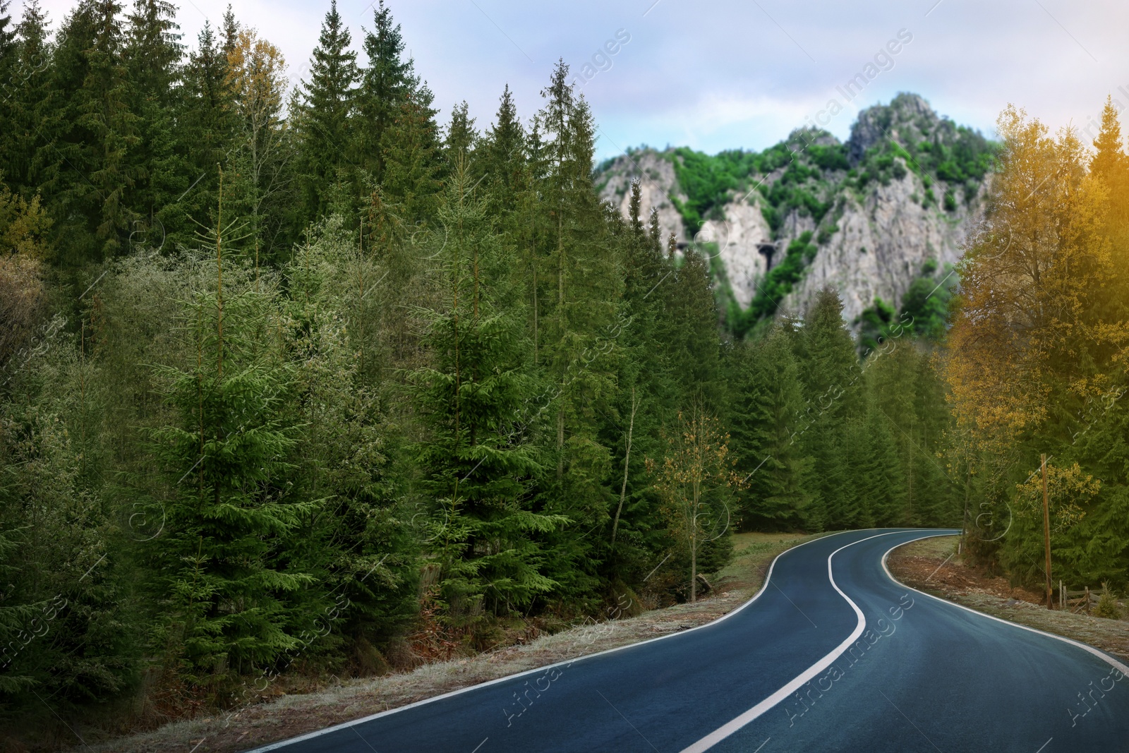 Image of Beautiful view of forest and empty asphalt road leading to mountains