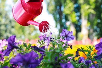 Photo of Watering beautiful flower bed with can outdoors