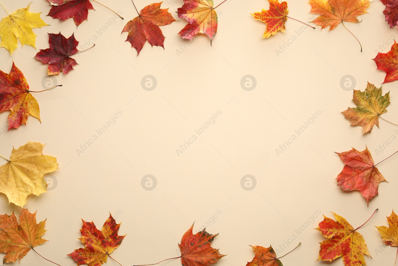 Photo of Autumn season. Frame of colorful maple leaves on beige background, top view. Space for text