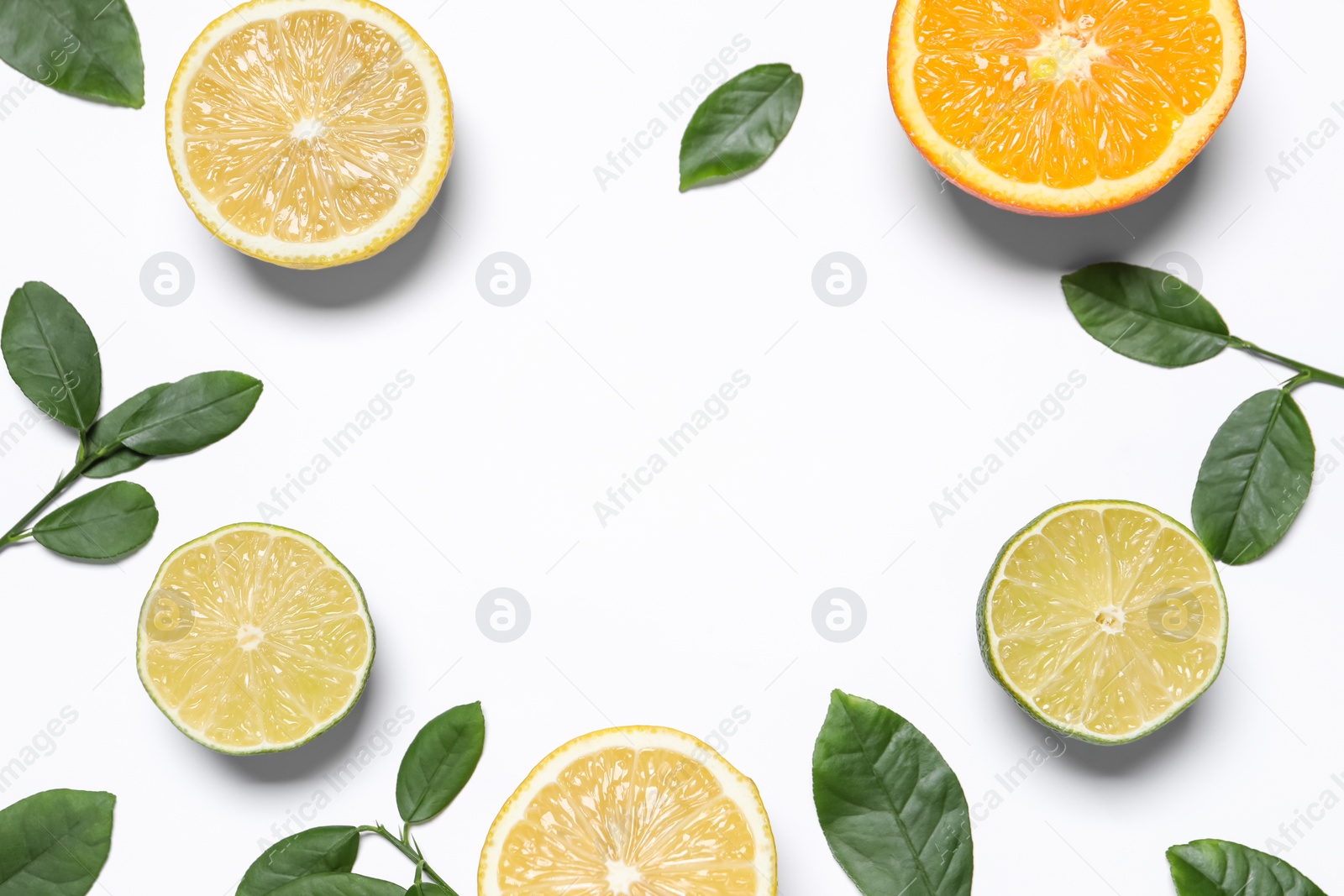 Photo of Frame made of different cut citrus fruits and leaves on white table, flat lay. Space for text