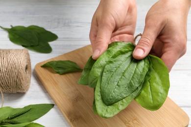 Woman holding broadleaf plantain above white wooden table, closeup