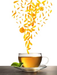 Image of Beautiful calendula flowers and petals falling into cup of freshly brewed tea on grey table against white background