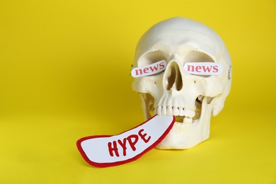 Human skull with paper cards with words Hype and News on yellow background
