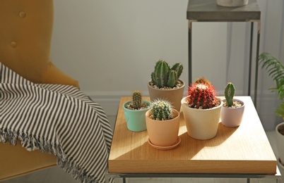 Photo of Stylish room interior with beautiful cacti on table