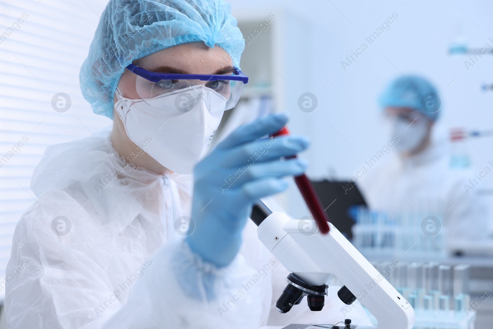 Photo of Scientist working with sample in test tube in laboratory