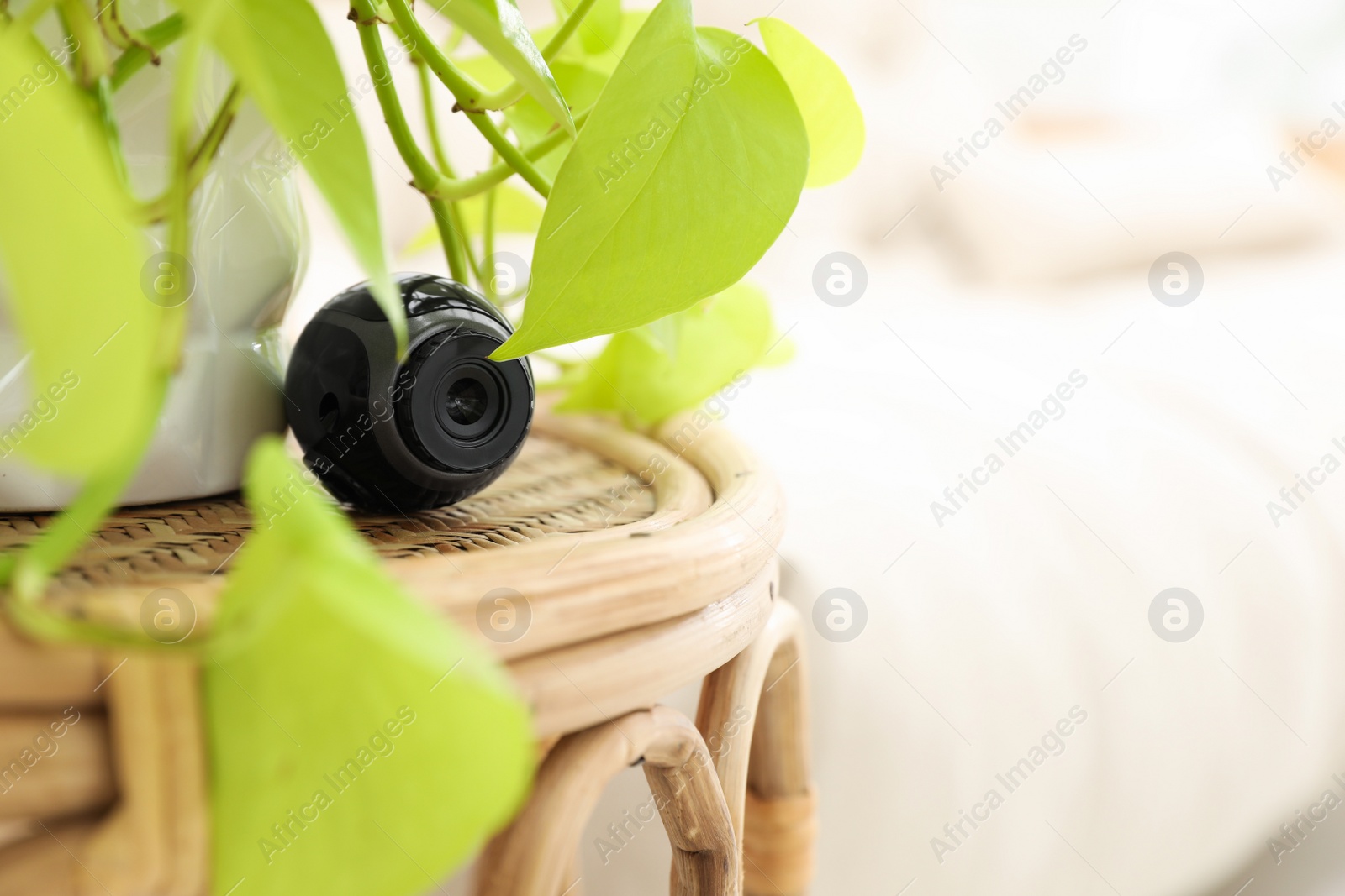 Photo of Small camera hidden near houseplant on table in room