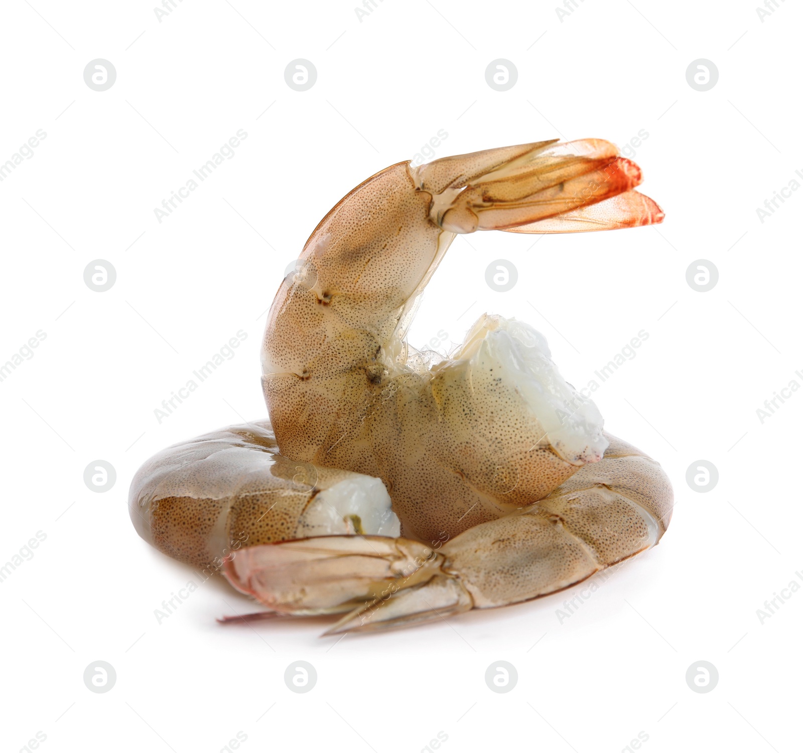 Photo of Fresh raw shrimps isolated on white. Healthy seafood