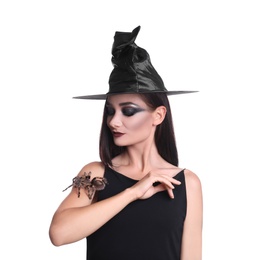 Photo of Mysterious witch in hat with spider on white background