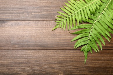 Photo of Beautiful tropical fern leaves on wooden background, flat lay. Space for text