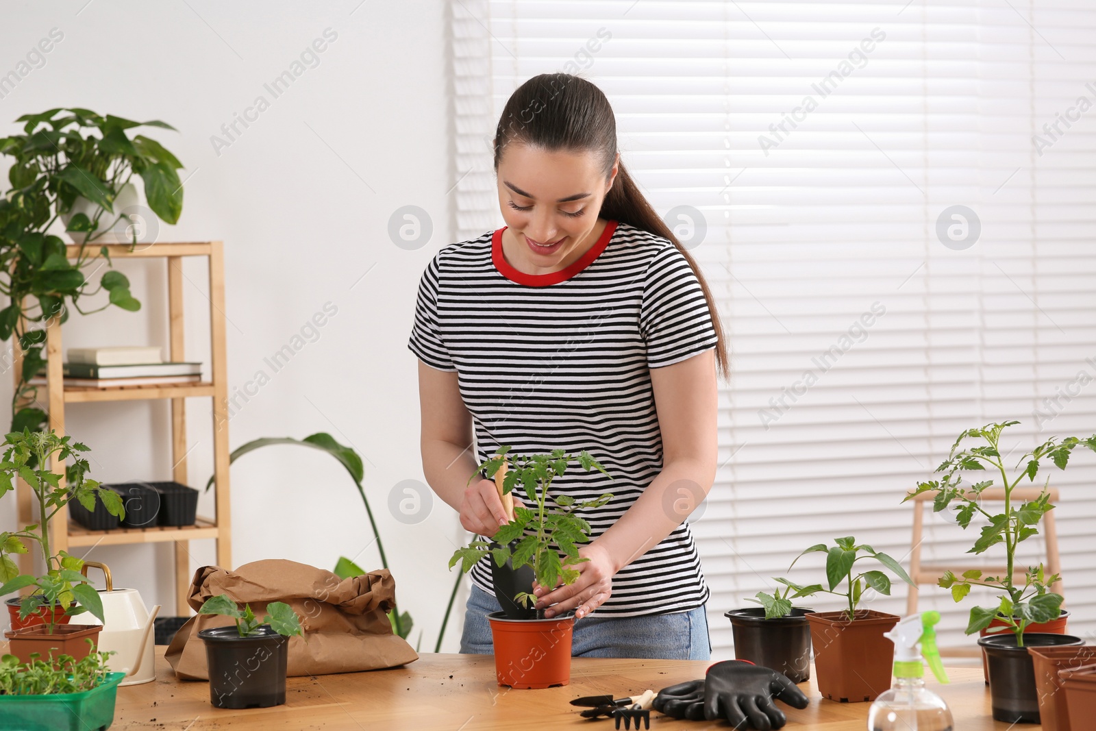 Photo of Happy woman planting seedling into pot at wooden table in room