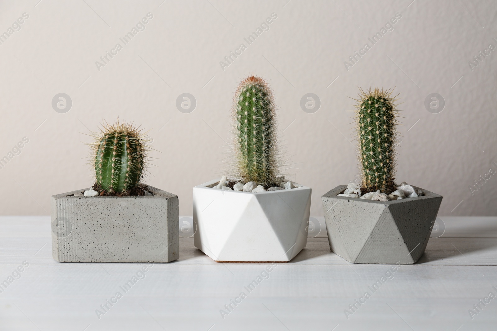 Photo of Beautiful tropical cactus plants in pots on white wooden table. House decor