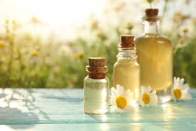 Photo of Bottles of chamomile essential oil on light blue wooden table in field. Space for text