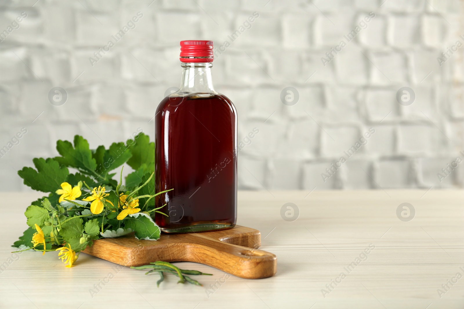 Photo of Bottle of celandine tincture and plant on white wooden table, space for text